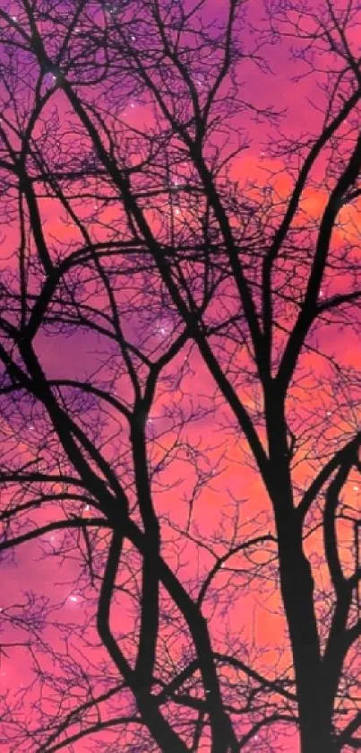 Vibrant sunset tree silhouette on a purple sky wallpaper.