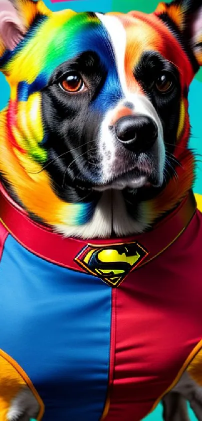 Colorful superhero dog in costume wallpaper.