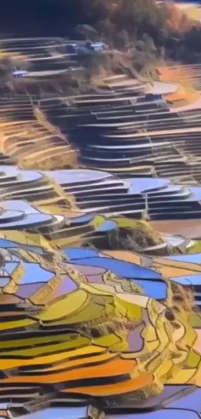 Colorful terraced fields creating a vibrant landscape view.