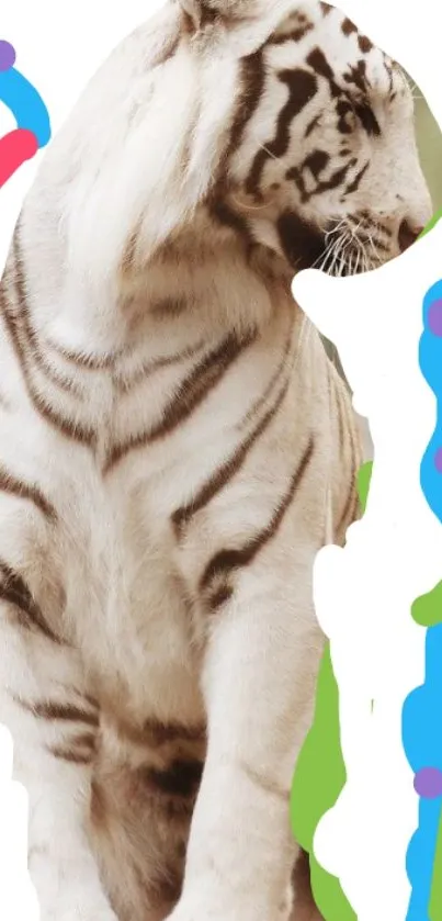 Majestic white tiger with colorful artistic border.