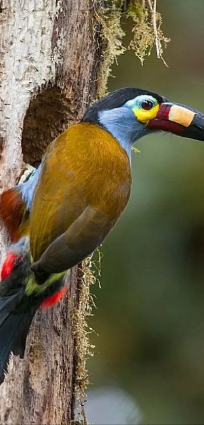 Vibrant toucan perched on a tree in a stunning nature scene.