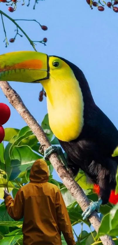 Colorful toucan perched in a lush jungle scene.