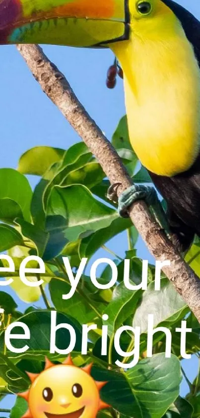 Toucan on branch with green leaves and motivational text.