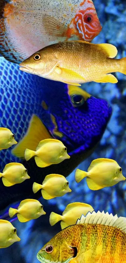 Mobile wallpaper with colorful tropical fish in vibrant ocean hues.