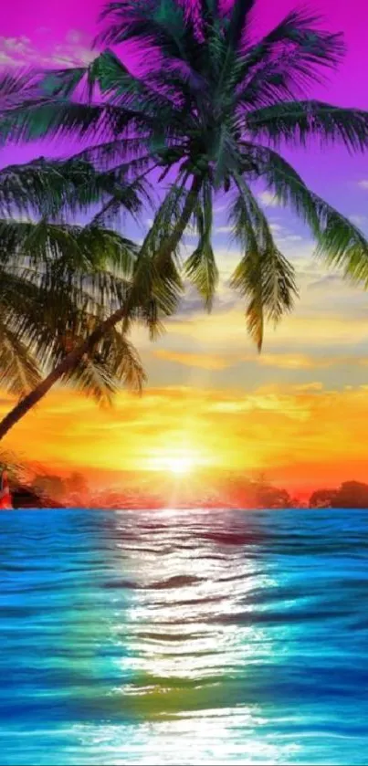 Vibrant tropical sunset with palm trees against a colorful sky.