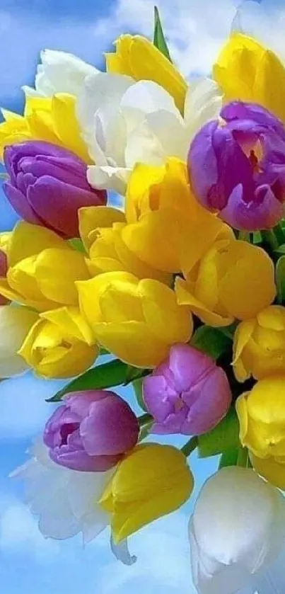 Colorful tulip bouquet with a blue sky background.