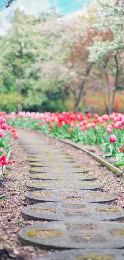 Bright tulip garden pathway with lush greenery.