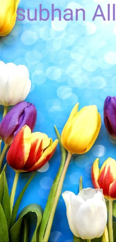 Colorful tulips and 'Subhan Allah' text on blue background.