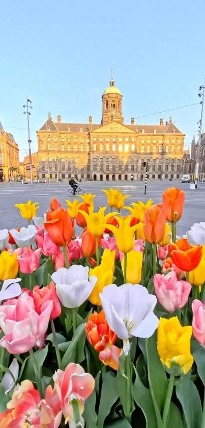 Vibrant tulips in front of historic building and city square.