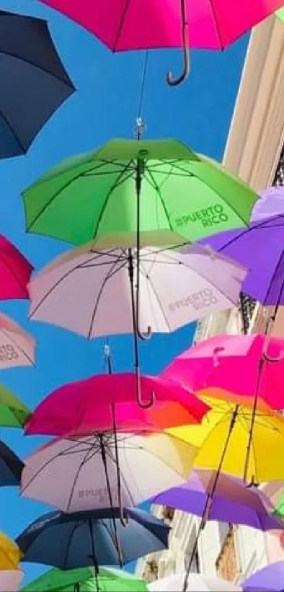 Vibrant mobile wallpaper with colorful umbrellas as ceiling art.