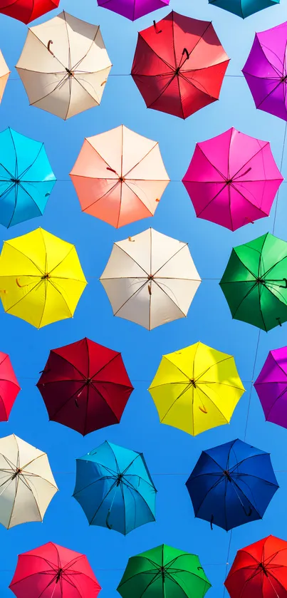 Colorful umbrellas hanging against a clear blue sky, creating a vibrant scene.