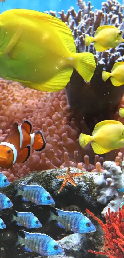 Vibrant aquarium with yellow fish and colorful corals.