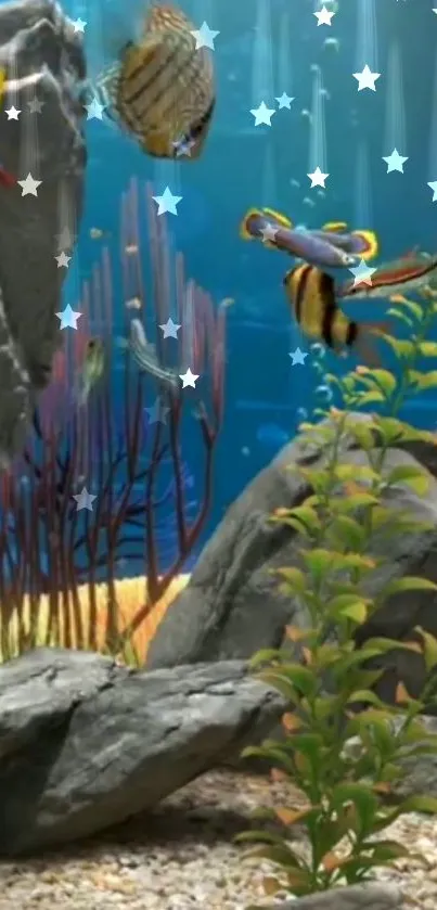 Colorful aquarium wallpaper with fish, rocks, plants, and star decorations.