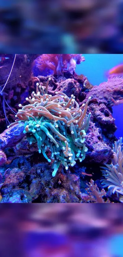 Vivid coral reef in vibrant blue hues, teeming with diverse marine life.