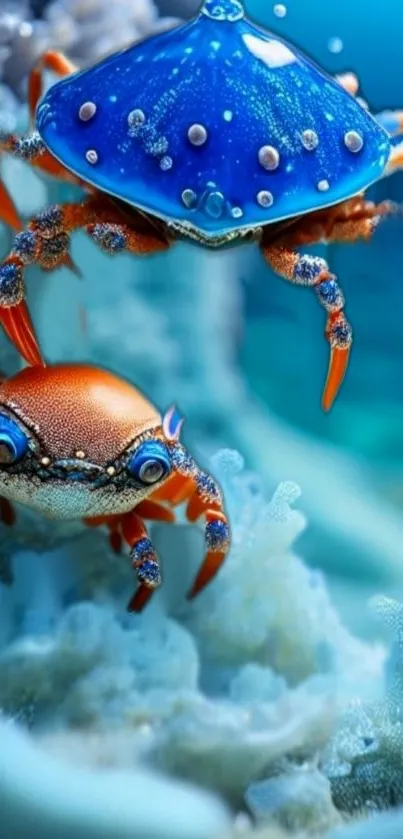 Colorful crabs in an underwater setting, vibrant and detailed.