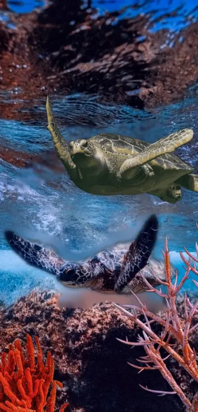 Sea turtles swimming above vibrant coral reefs underwater.