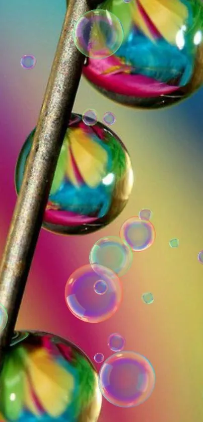 Colorful water droplets on a pin mobile wallpaper.