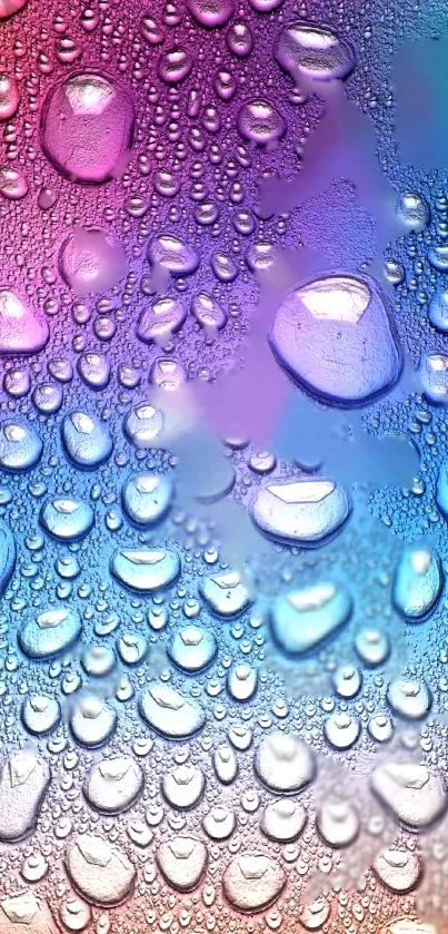 Colorful water droplets on gradient wallpaper.