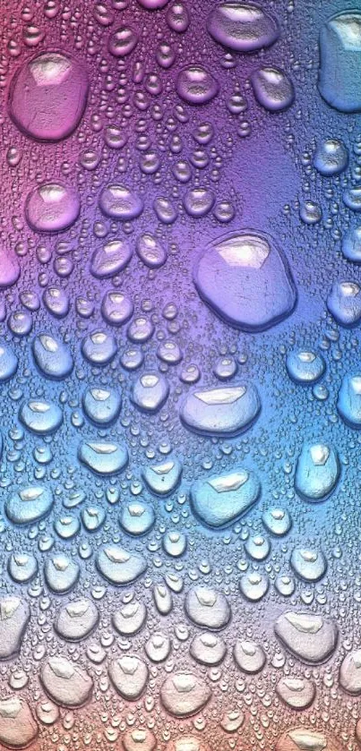 Colorful water droplets on gradient background wallpaper.