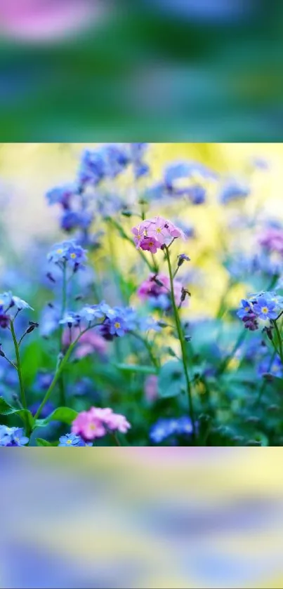 Vibrant wildflowers in a colorful meadow setting.