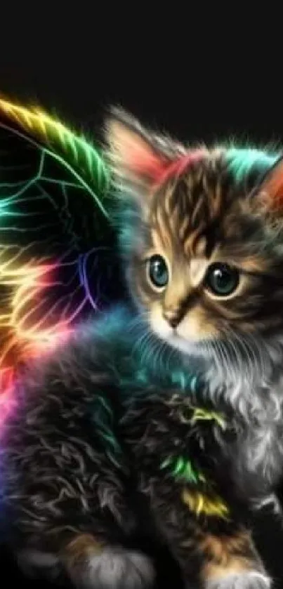 Cute kitten with colorful glowing wings on a black background.