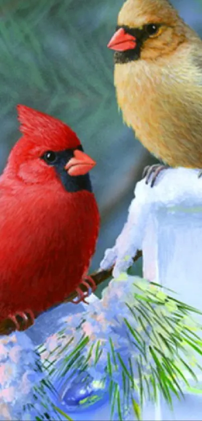 Two cardinals on a snowy fence with lights.