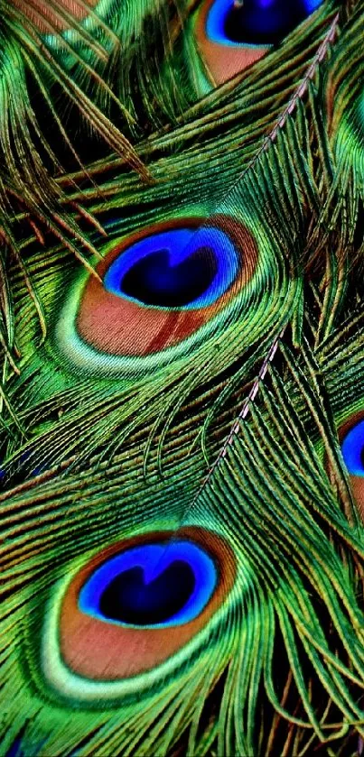 Colorfulness Green Eye Live Wallpaper