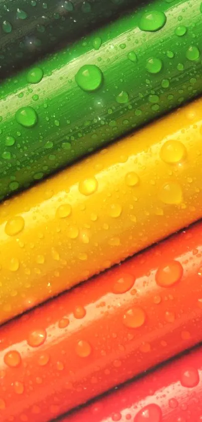 colour time Live Wallpaper