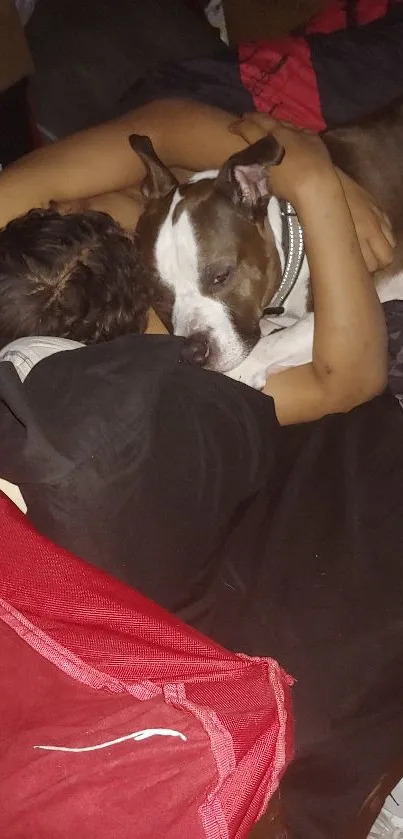 Person and dog sharing a comforting hug on a cozy bed.