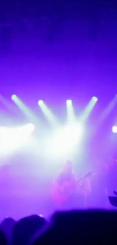 Concert Purple Music Live Wallpaper