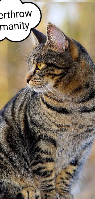 A playful tabby cat with a humorous thought bubble in a nature setting.