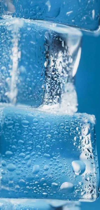 Close-up of blue ice cubes with water droplets on a light blue background.