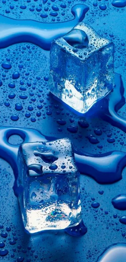 Close-up of blue ice cubes with water droplets on a blue background.