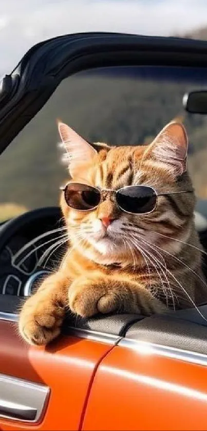 Ginger cat with sunglasses in a convertible car, exuding a cool vibe.