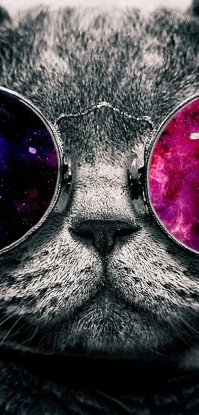 Cool cat wearing cosmic galaxy-themed glasses.