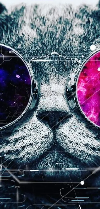 Cat wearing galaxy-themed sunglasses.