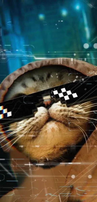 Cat in hoodie with pixel sunglasses on urban backdrop.