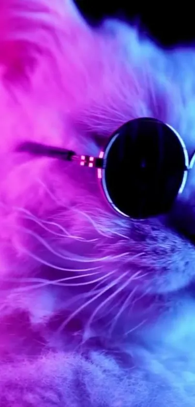 Cool cat with sunglasses in purple and blue neon glow.