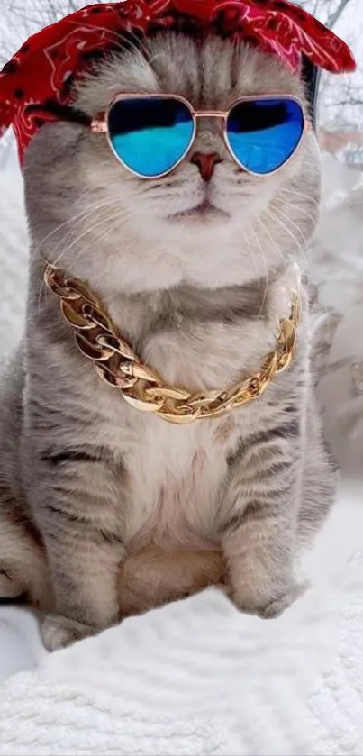 Cat wearing blue sunglasses and chain on snowy background.