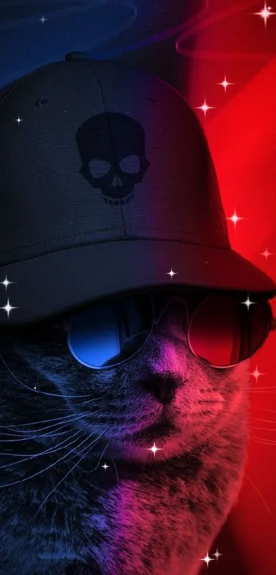 Cool cat wearing sunglasses and a skull cap with a red and blue background.