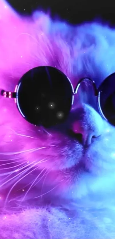 A cool cat in sunglasses with neon pink and blue lights as a mobile wallpaper.