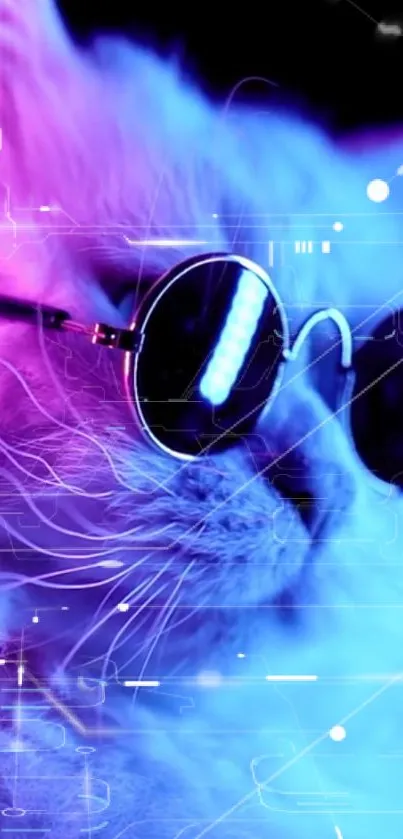 Neon cat with sunglasses in vibrant blue and pink hues.