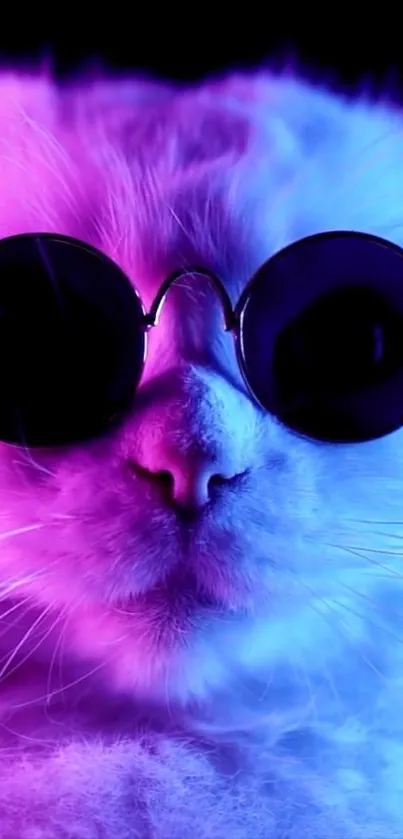 Neon cat wearing sunglasses with vibrant purple and blue colors