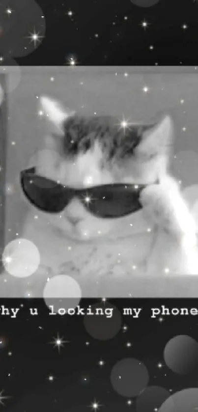 Cool cat with sunglasses on a starry background, asking 'Why you looking my phone?'.