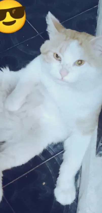 Fluffy cat lounging with sunglasses emoji on dark tiled floor.