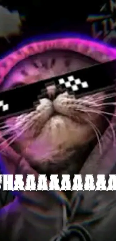 Funny cat in hoodie with sunglasses and cosmic background.