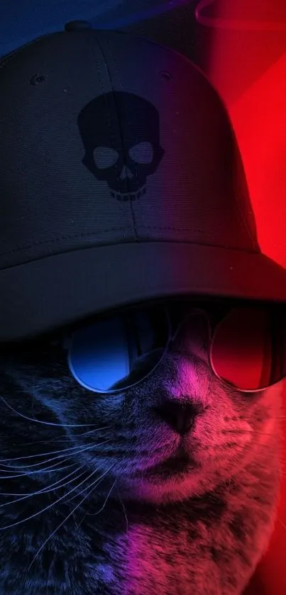 Cool cat wearing sunglasses and a cap with red and blue lighting.