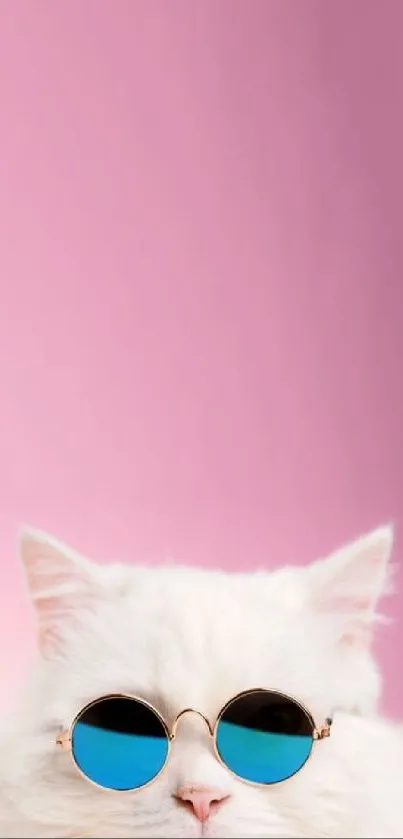 White cat with blue sunglasses on pink background.