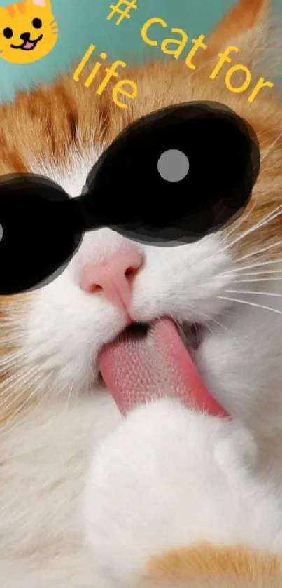 Cute cat with sunglasses and hashtag on its fur.