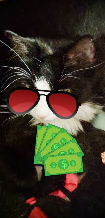 Black and white cat with sunglasses holding cash.